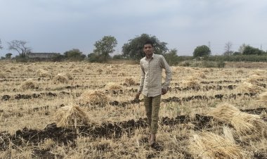 Ground Report  :- 6 महीने जिस फसल को पाला वो हुई खराब, बारिश ने किसानों के मुंह से छीना निवाला- देखें किसानों का दर्द