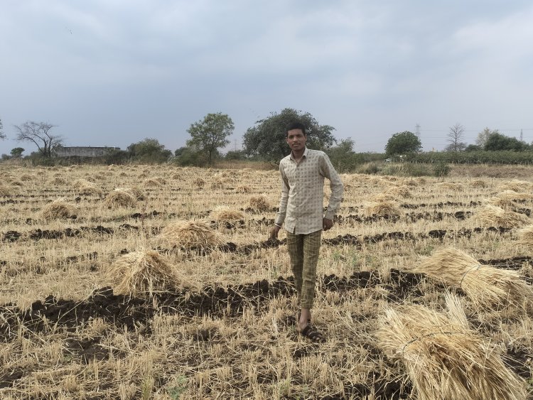 Ground Report  :- 6 महीने जिस फसल को पाला वो हुई खराब, बारिश ने किसानों के मुंह से छीना निवाला- देखें किसानों का दर्द 