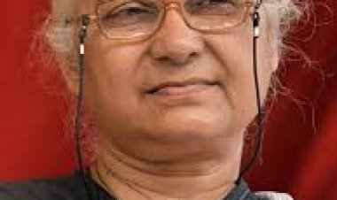 खोखली हो रही नर्मदा का घट रहा जल स्तर, बड़वानी को ही नहीं मिल रहा पानी - मेधा पाटकर