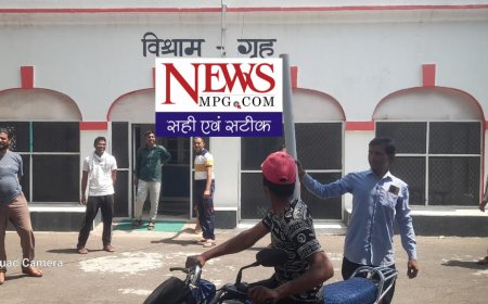 सरकारी गेस्ट हॉउस में 5 फिट लंबे काले सांप ने  डेरा डाल दिया, पुलिस अधिकारी भी रह रही है उसी गेस्ट हाउस में, वनविभाग ने भी सांप पकड़ने से कर दिया इंकार , जानिए फिर क्या हुआ ?