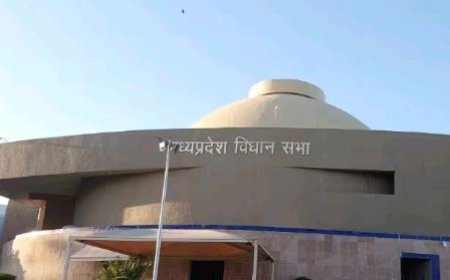 विधानसभा में गुरूवार का दिन रहा खास , रतलाम जिले के दो विधायकों ने अवैध कॉलोनियों को लेकर उठाई आवाज, मंत्री काश्यप ने  भी की बड़ी घोषणा