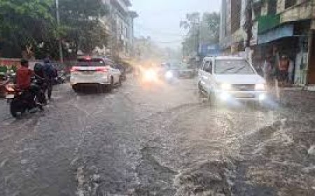 अचानक आई धुआंधार बारिश ने निचले इलाकों को किया पानी-पानी -कई घरों में घुसा पानी, सड़कें बनी तालाब