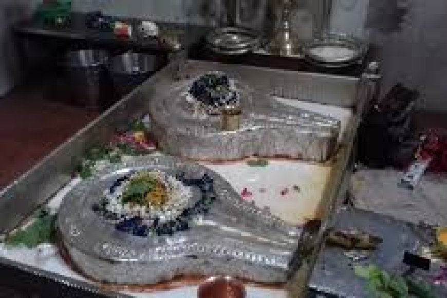 कहीं खंबे करते हैं पाप-पुण्य का हिसाब, कहीं शिवलिंग के नीचे छुपी है शिवलिंग - जानिये रहस्यों से भरे रतलाम जिले के अतिप्राचीन शिवधाम