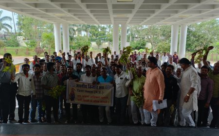 पीला मोजेक से सोयाबीन की फसल हो रही बर्बाद -परेशान किसान पहुँचे कलेक्टर के  पास