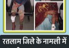 जिले में दहशत : नामली के पास जंगली जानवर का हमला, आधा दर्जन से अधिक लोग घायल, देखें वीडियो