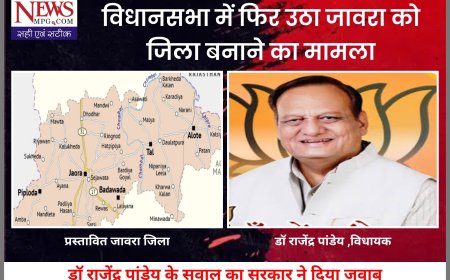 विधानसभा में फिर उठा जावरा को जिला बनाने का मामला, विधायक के सवाल का सरकार ने दिया जवाब