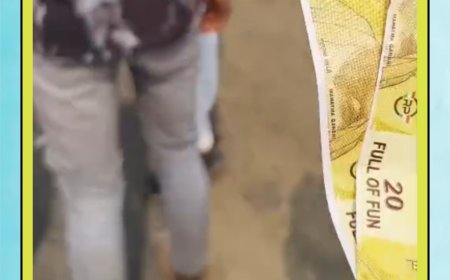 बच्चो वाले नकली नोट बैग में देख भड़के ग्रामीणों ने शंका में कार सवारों की पिटाई की, सिमलावदा फोरलेन की घटना वीडियो वायरल