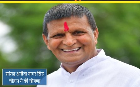 कैलाश पटेल सांसद प्रतिनिधि बने