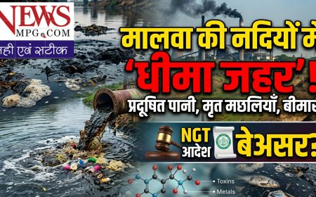 मालवा की नदियों में घुलता 'धीमा जहर': NGT के आदेश के बाद भी फाइलों में कैद है शिप्रा और मलेनी का उद्धार