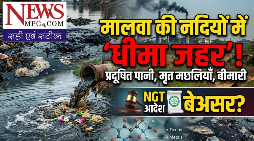 मालवा की नदियों में घुलता 'धीमा जहर': NGT के आदेश के बाद भी फाइलों में कैद है शिप्रा और मलेनी का उद्धार