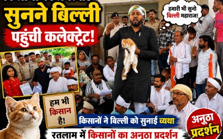 गर्मी सड़क पर लोटते हुए पंहुचे किसान नेता, तो किसानों की समस्याएं सुनने कलेक्ट्रेट पहुंची बिल्ली! video viral