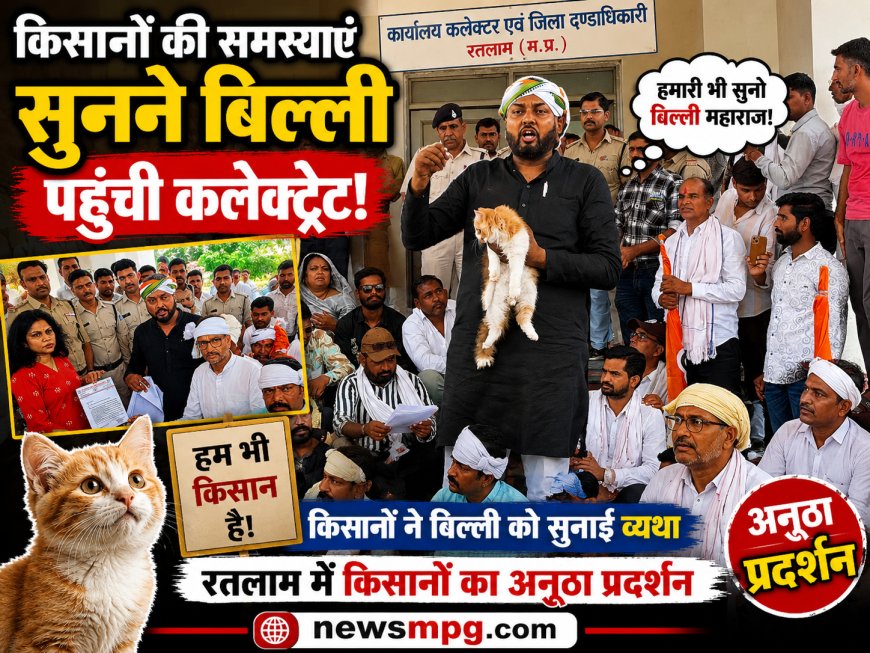 गर्मी सड़क पर लोटते हुए पंहुचे किसान नेता, तो किसानों की समस्याएं सुनने कलेक्ट्रेट पहुंची बिल्ली! video viral