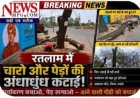 चली कुल्हाड़ी, घोंसले टूटे, बच्चे मरे, पेड़ कटे, नेता घूमने निकले: भगवान भरोसे रतलाम