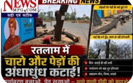 चली कुल्हाड़ी, घोंसले टूटे, बच्चे मरे, पेड़ कटे, नेता घूमने निकले: भगवान भरोसे रतलाम