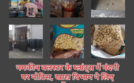 पाल्म ऑयल के गाद सने ड्रमों में तैरते मच्छर, गंदगी के बीच बनता नमकीन, ब्रांड किसी और का, बनाने वाला कोई और ! 'बालाजी फूड प्रोडक्ट्स' समेत दो प्लांट्स पर कार्रवाई, लाइव वीडियो देखें!