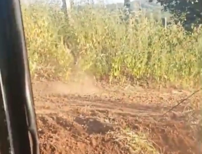 शिवगढ़ में JCB चालकों के सामने आया तेंदुआ, वीडियो आया सामने