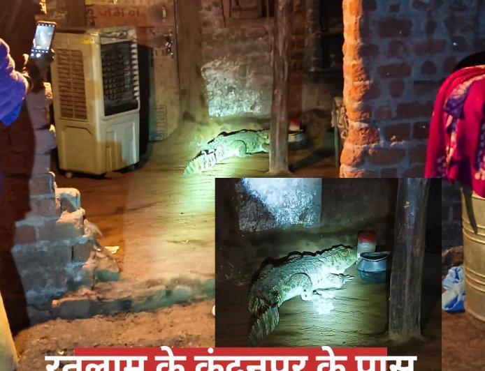बेटे के साथ सो रही थी मां, आंख खुली तो सामने था मगरमच्छ; ग्रामीणों ने रस्सी से बांधा