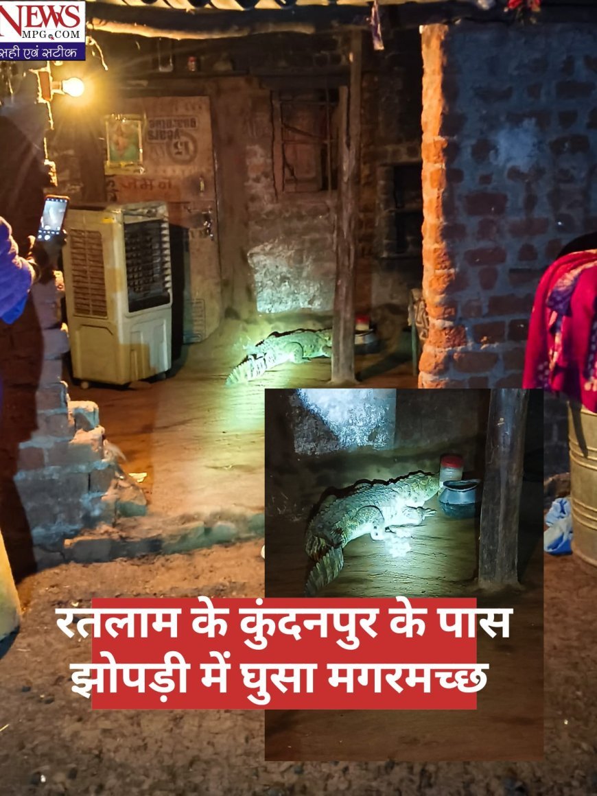 बेटे के साथ सो रही थी मां, आंख खुली तो सामने था मगरमच्छ; ग्रामीणों ने रस्सी से बांधा